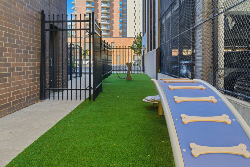 Gated dog play area with artificial grass, climbing ramp, and urban buildings in the background.